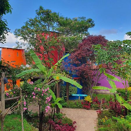 Chameleon Hill Forest Lodge Bwindi Bagian luar foto