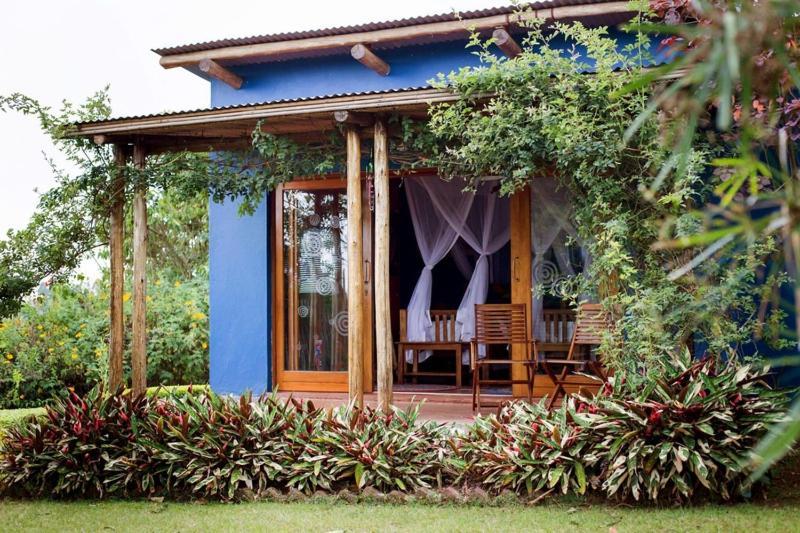 Chameleon Hill Forest Lodge Bwindi Bagian luar foto