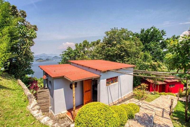 Chameleon Hill Forest Lodge Bwindi Bagian luar foto